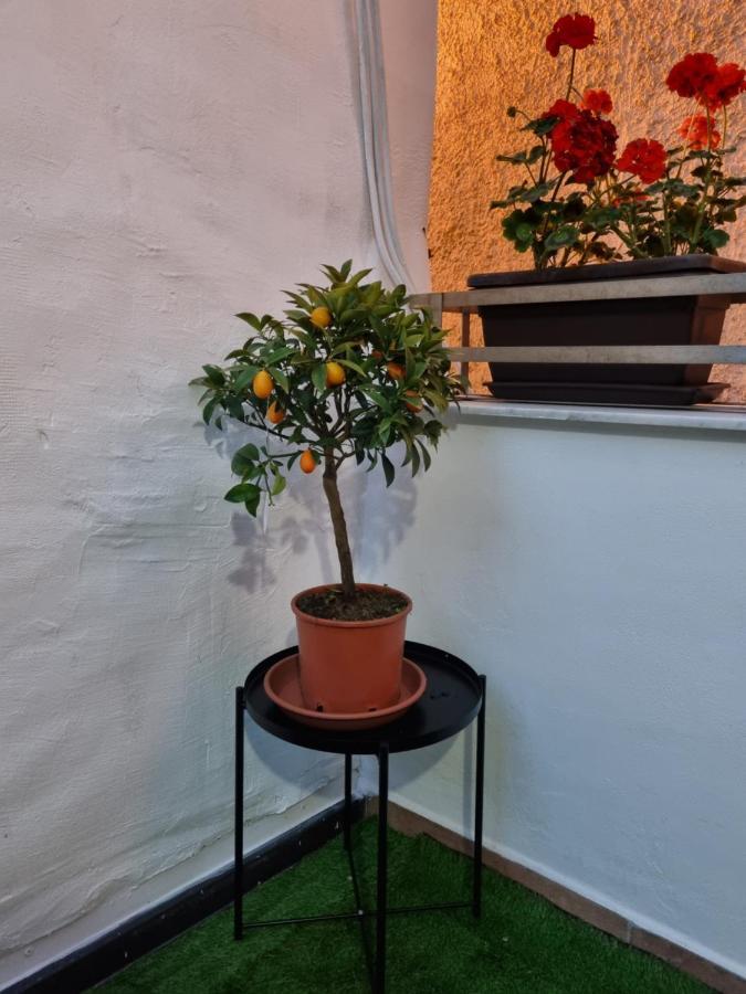 Giardino Moreno Палермо Екстериор снимка
